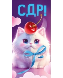 Конверт для денег "СДР!" 099.905