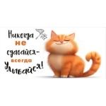 Конверт для денег "Никогда не сдавайся"