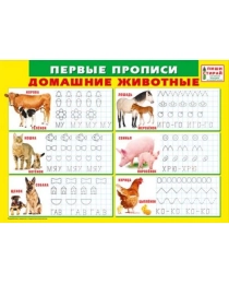 Первые прописи "Домашние животные" (Пиши-стирай) 070.891