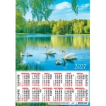 Плакат А3 (2027 календарь) Природа. Белые лебеди ПМ-27-142 Плакат А3 (2027 календарь) Природа. Белые лебеди ПМ-27-142